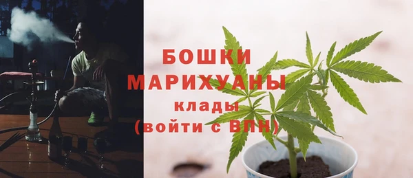 твердый Осинники