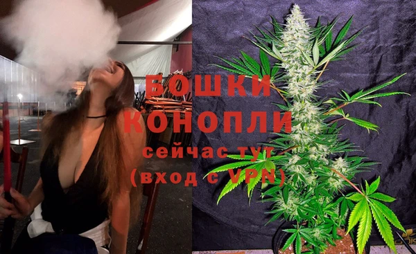 Альфа ПВП Осташков