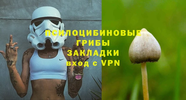 Альфа ПВП Осташков