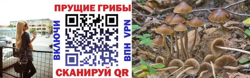 Галлюциногенные грибы Magic Shrooms  Плёс 